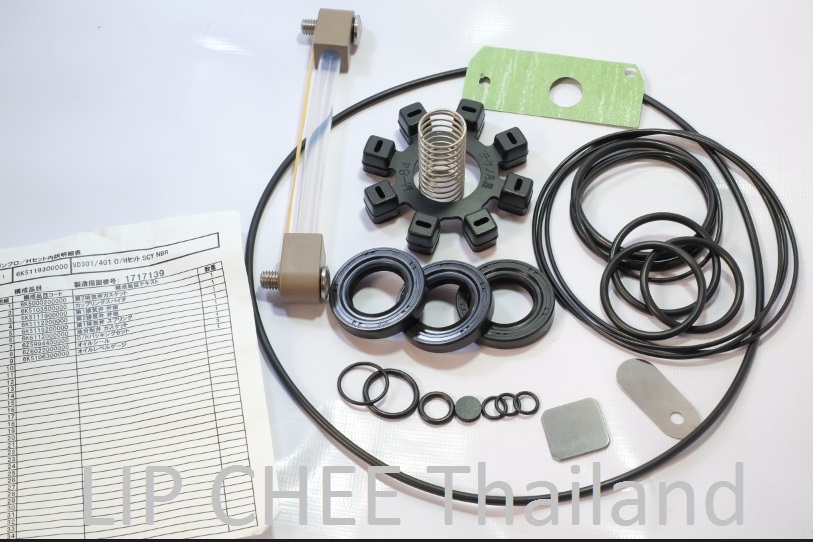 Overhaul Kit
